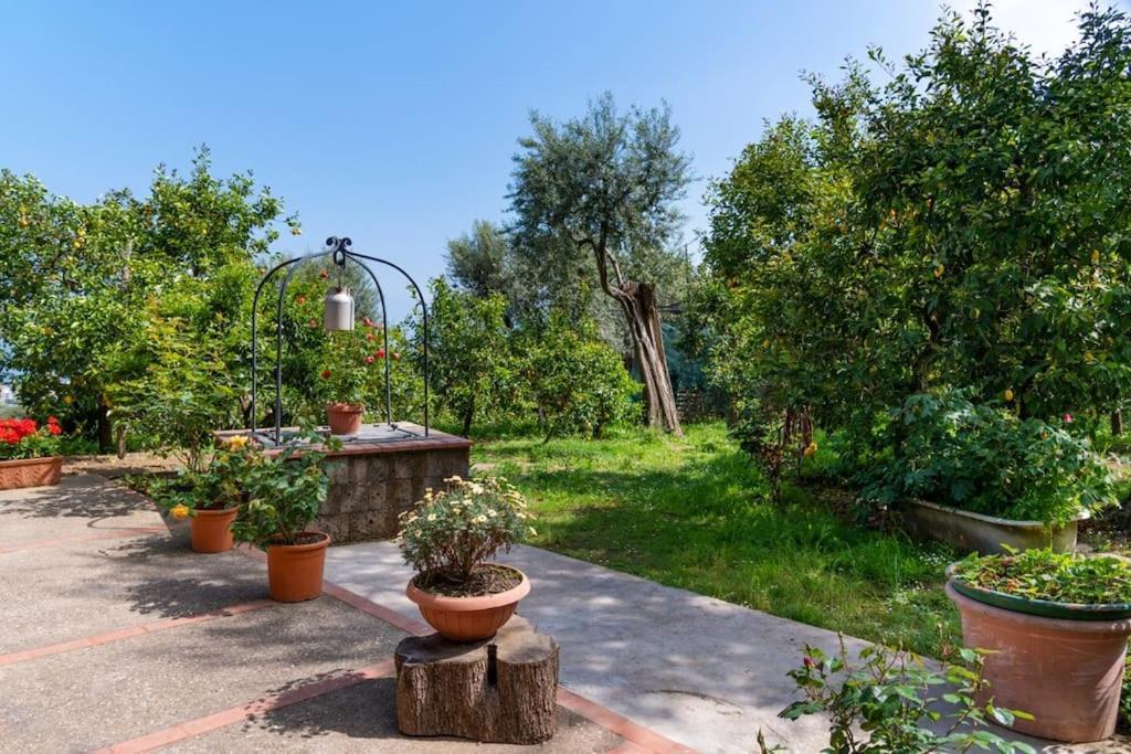 Sorrentovibes - Sea View Rooftop Apartment With Jacuzzi & Garden المظهر الخارجي الصورة